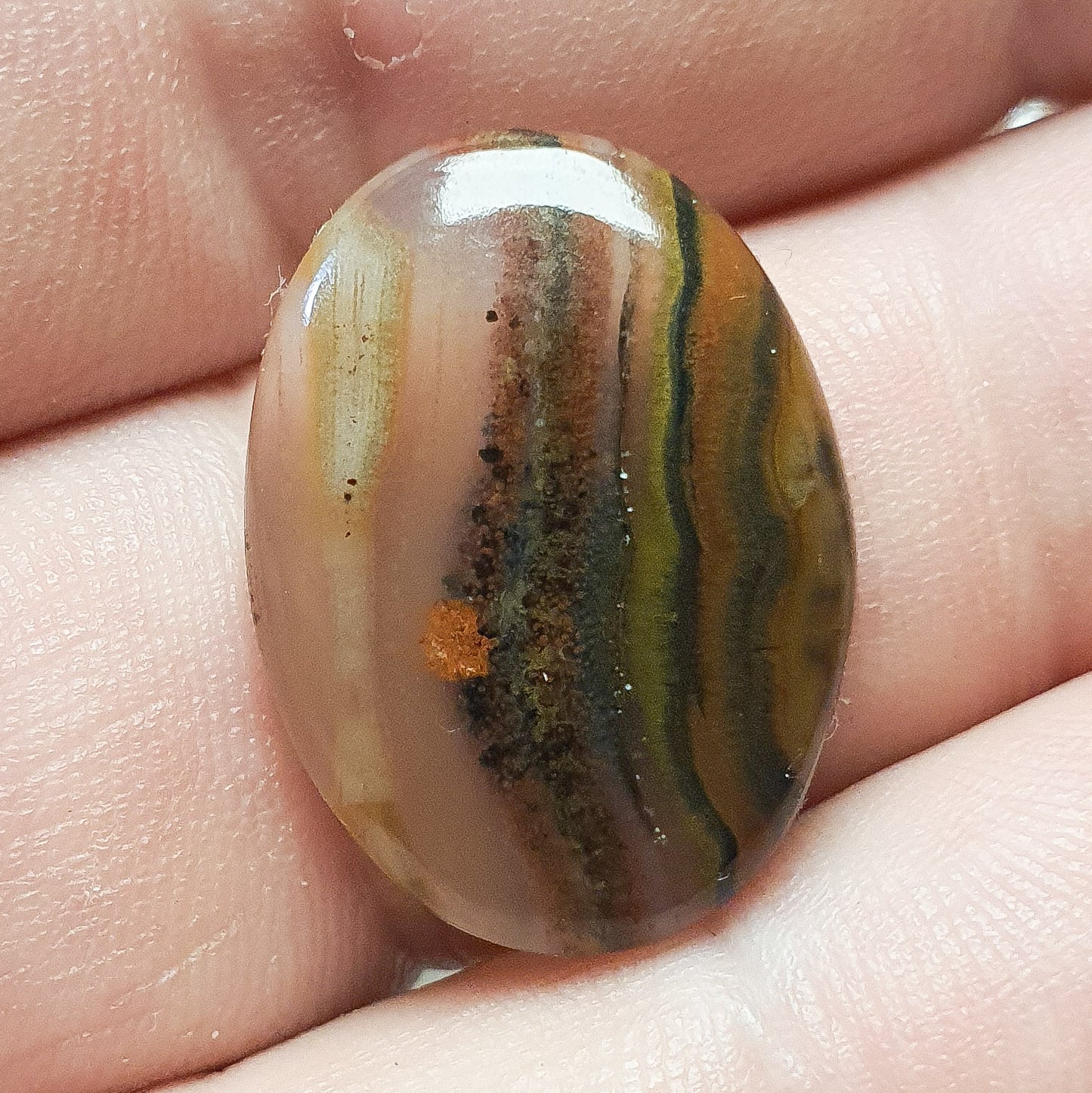 Cabochon Agate Condor