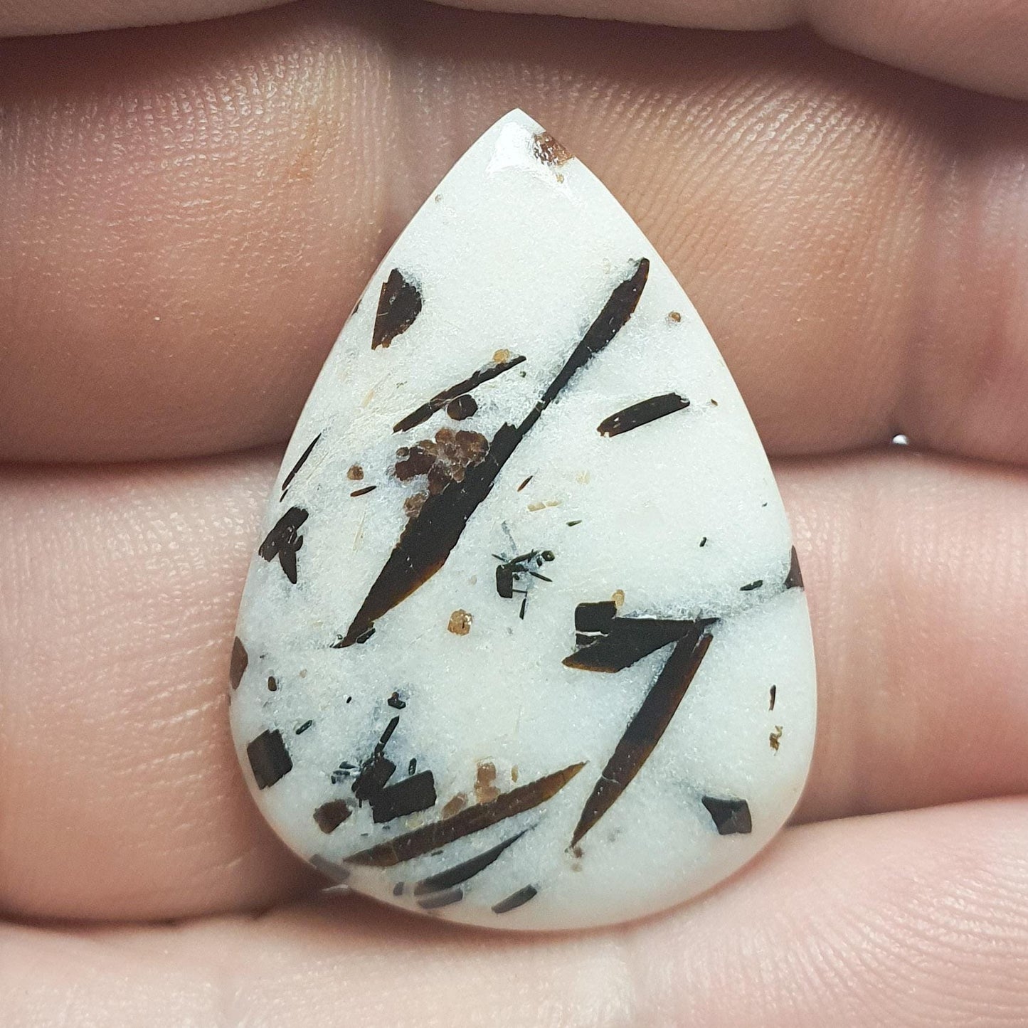 Cabochon astrophylite