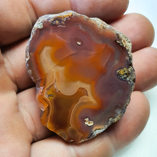 Agate Red Hot Berrendo