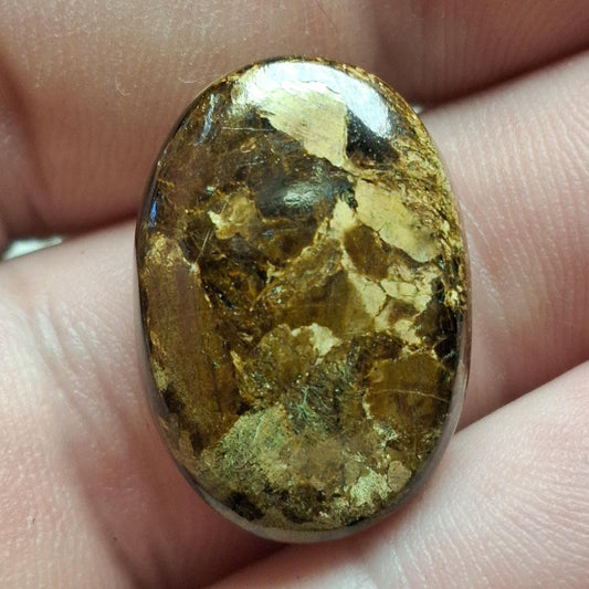 Cabochon bronzite