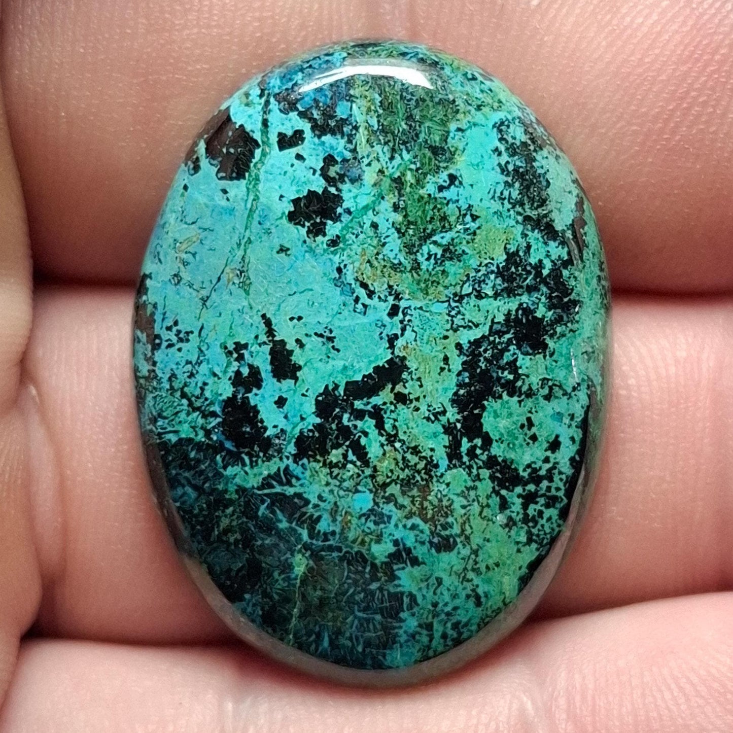 Cabochon chrysocolle