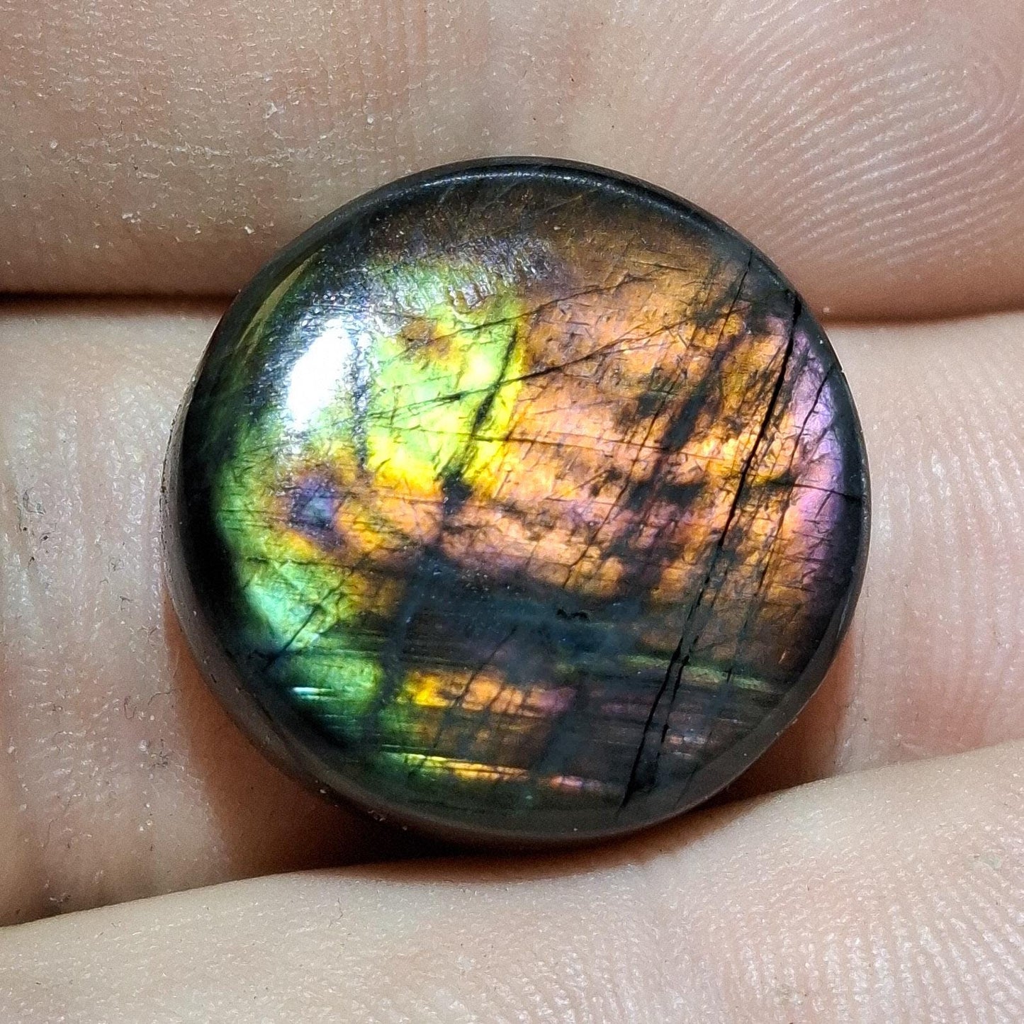 Cabochon spectrolite de yläama finlande