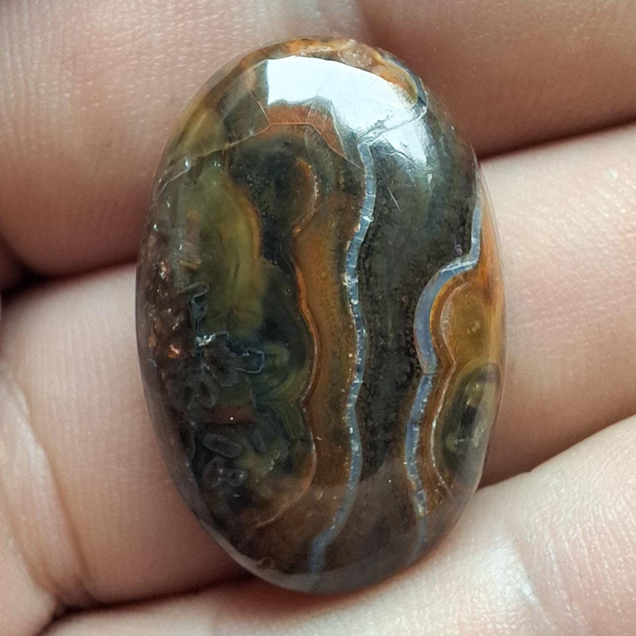 Cabochon agate condor