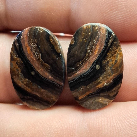 Paire cabochons stromatolite