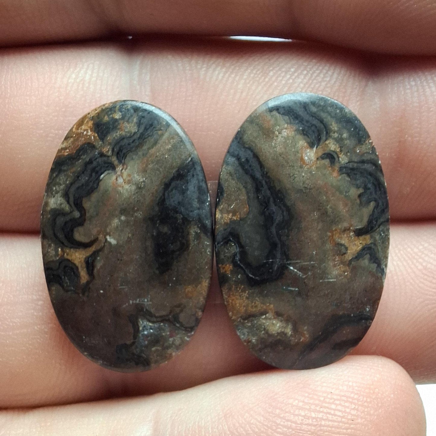 Paire cabochons stromatolite