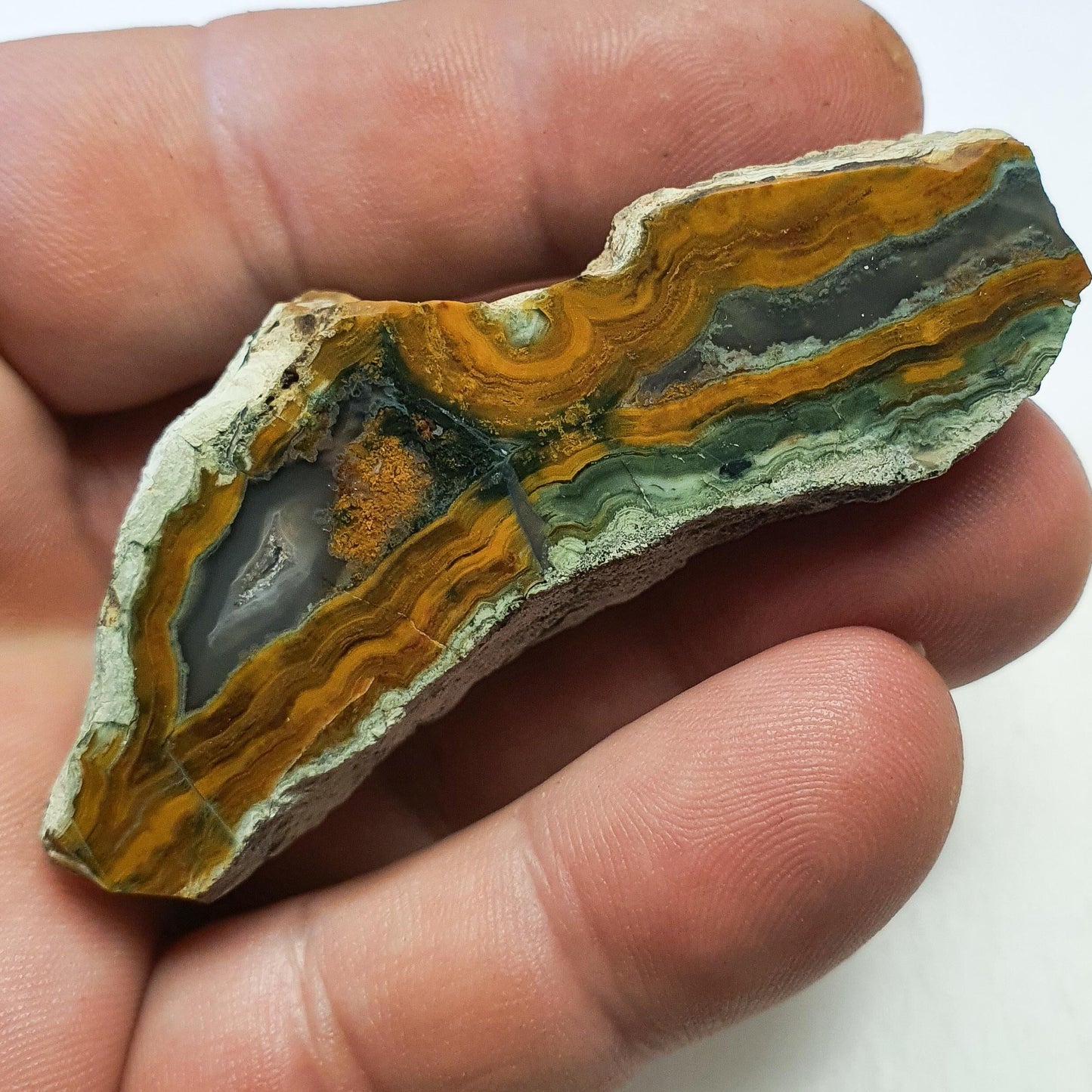 Agate orpheus