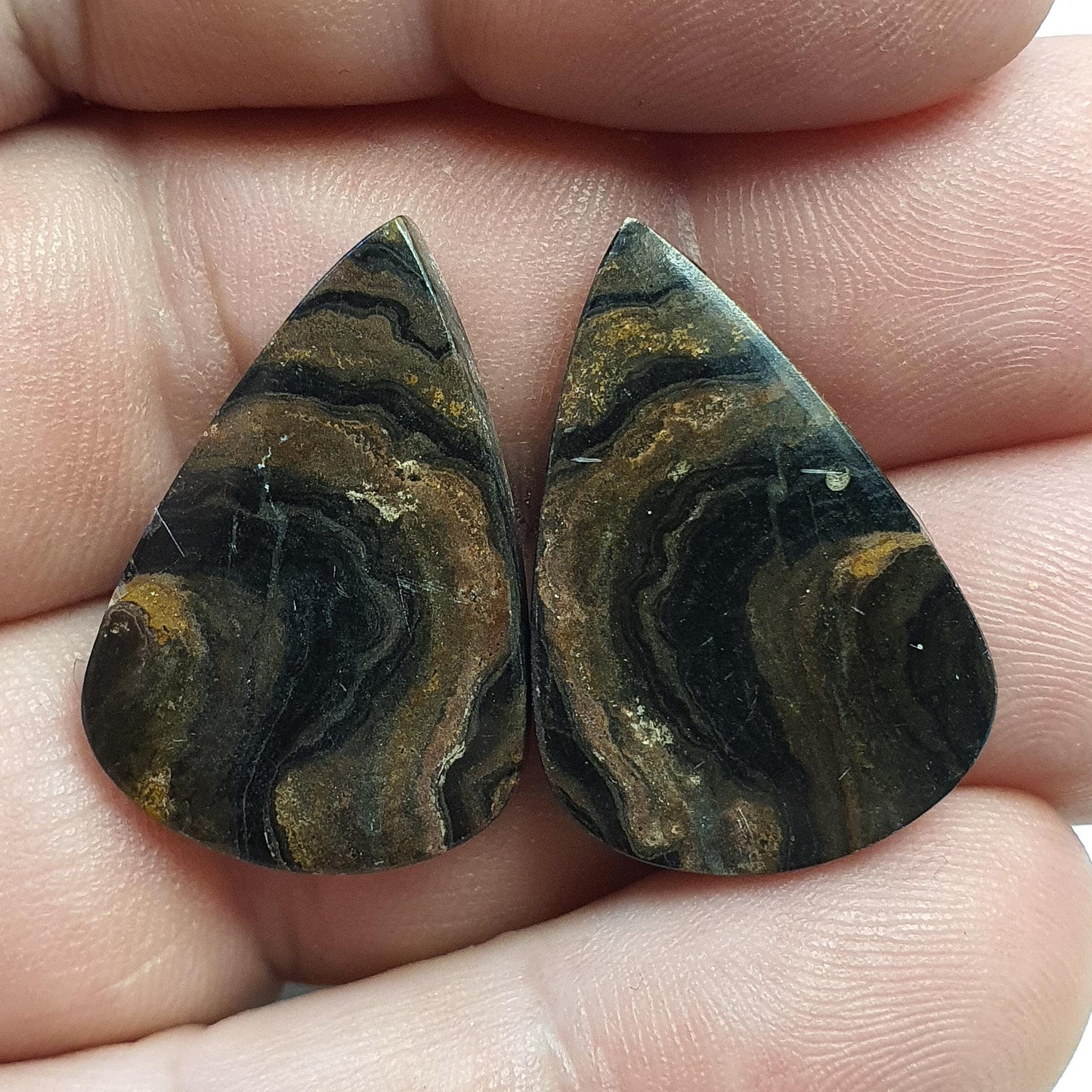 Paire cabochons stromatolite