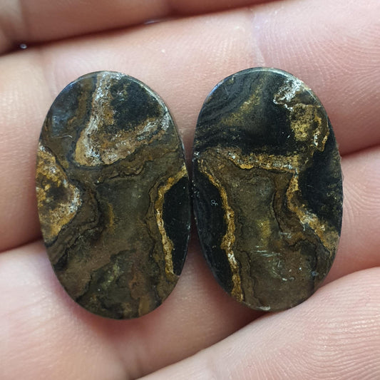 Pair of Stromatolite cabochons