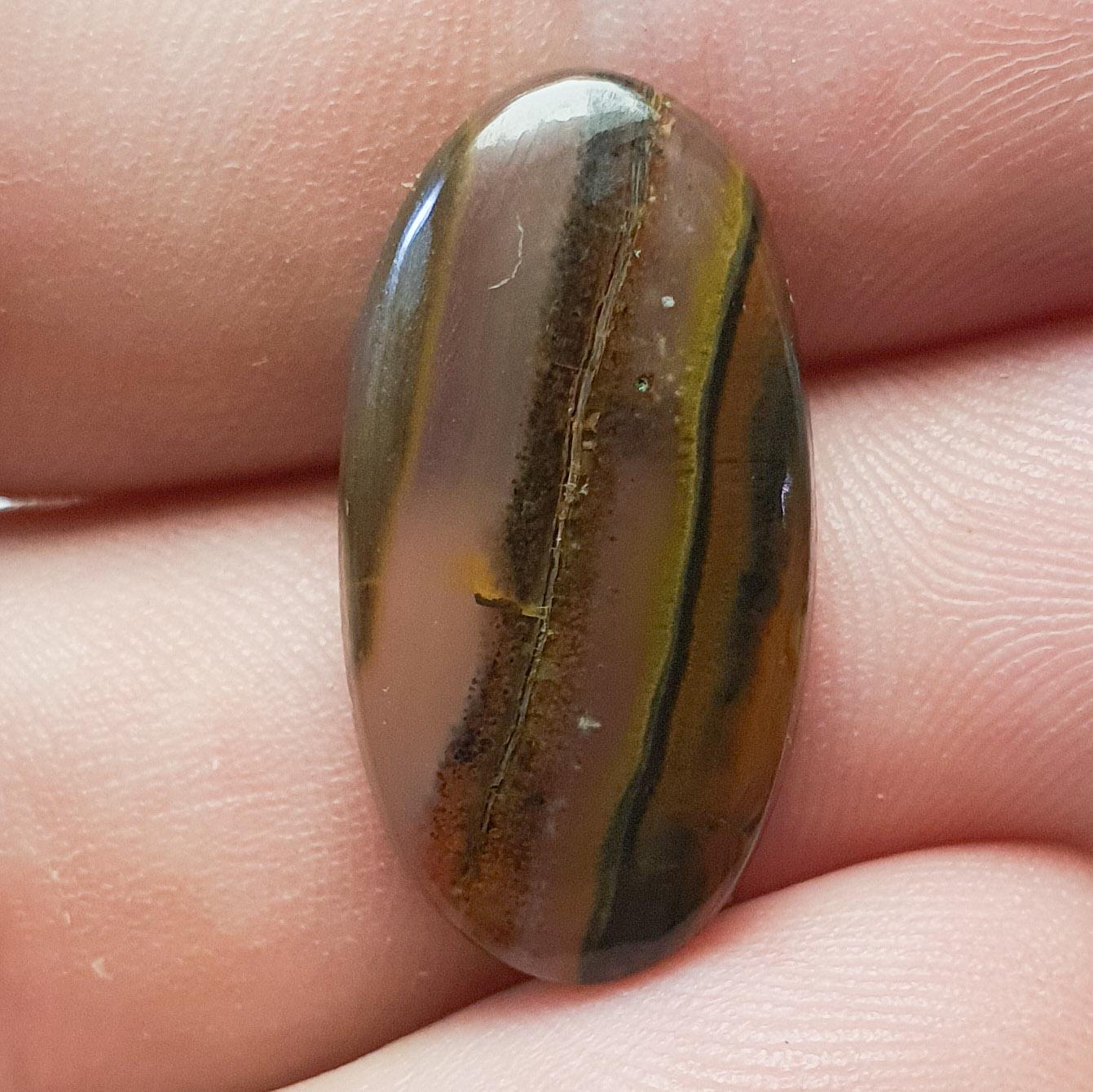 Condor Agate Cabochon