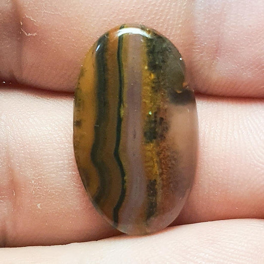 Cabochon agate condor