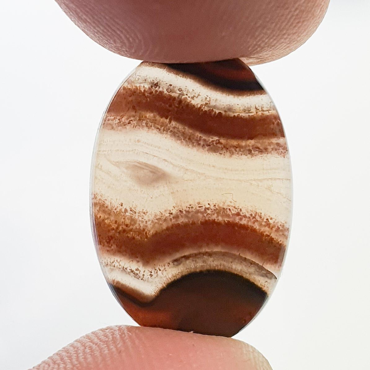 Cabochon agate condor