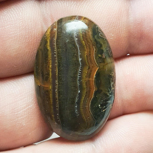 Cabochon agate condor