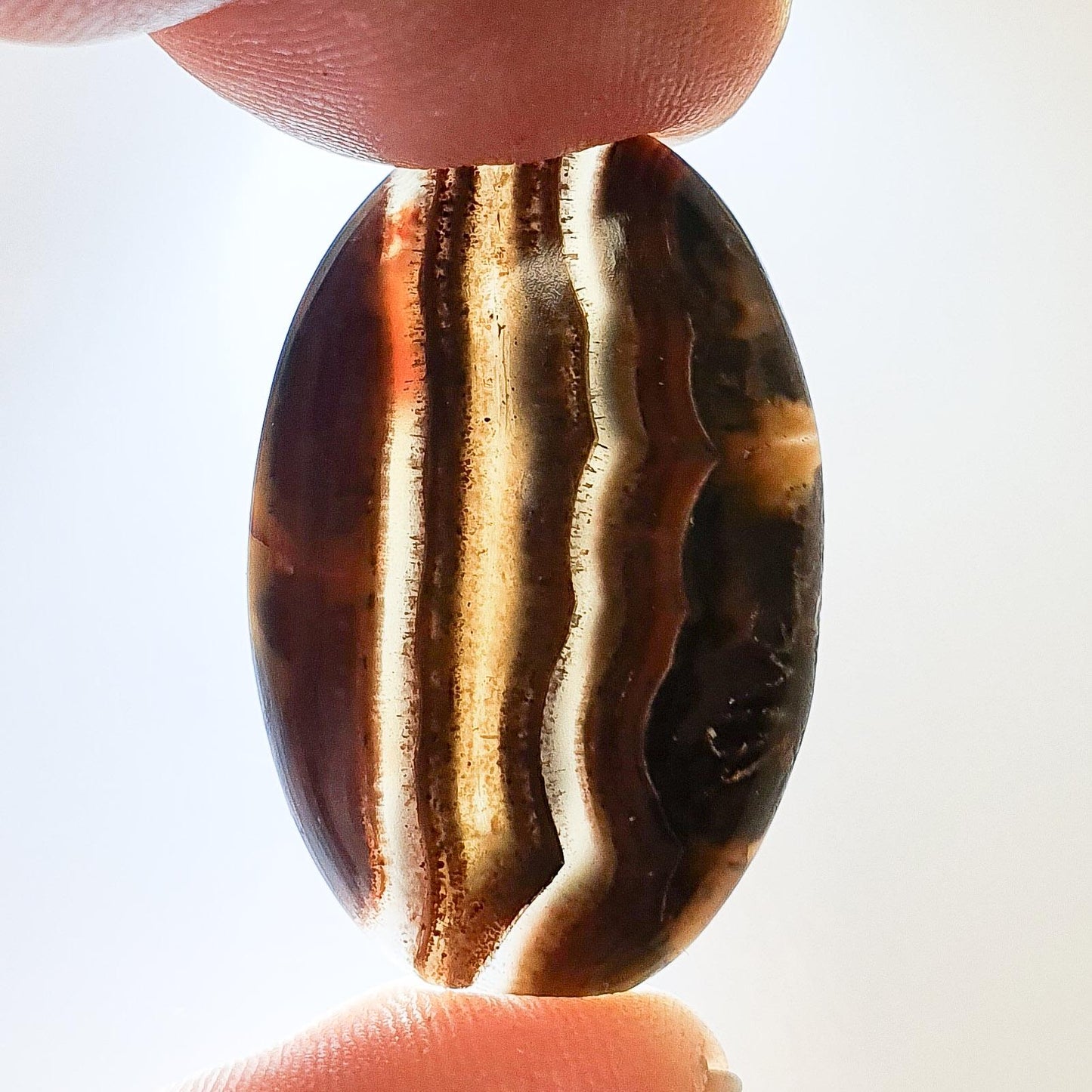 Cabochon agate condor