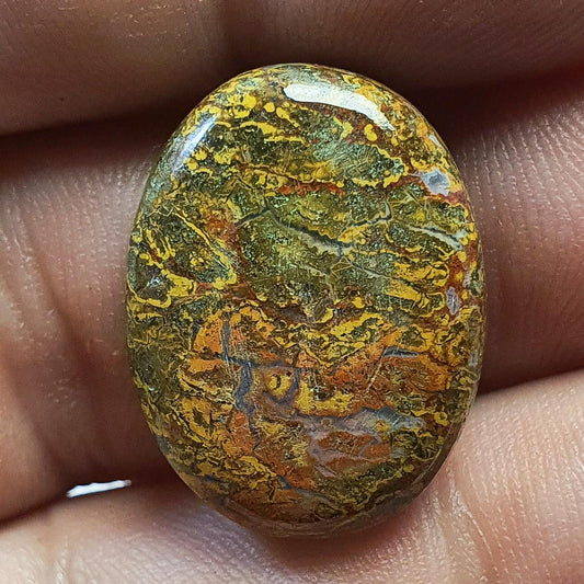 Cabochon agate plume de hongrie