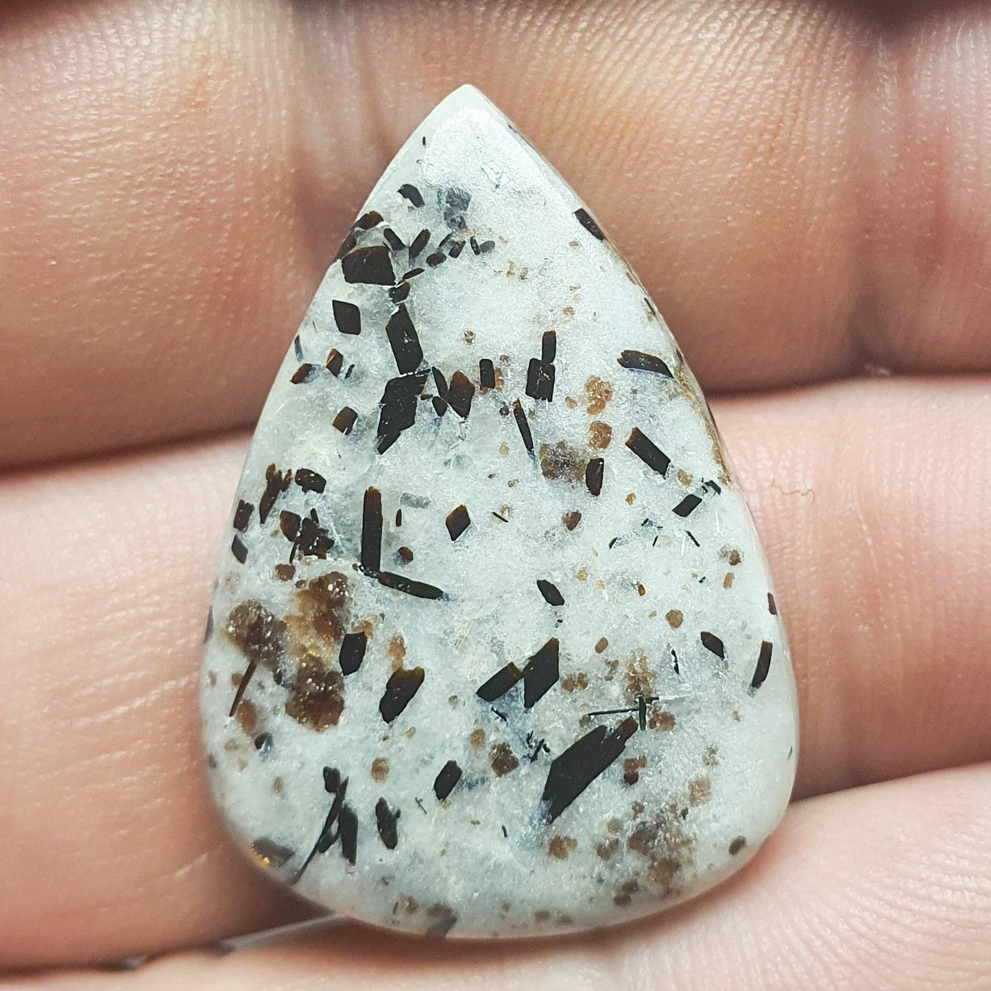 Cabochon astrophylite