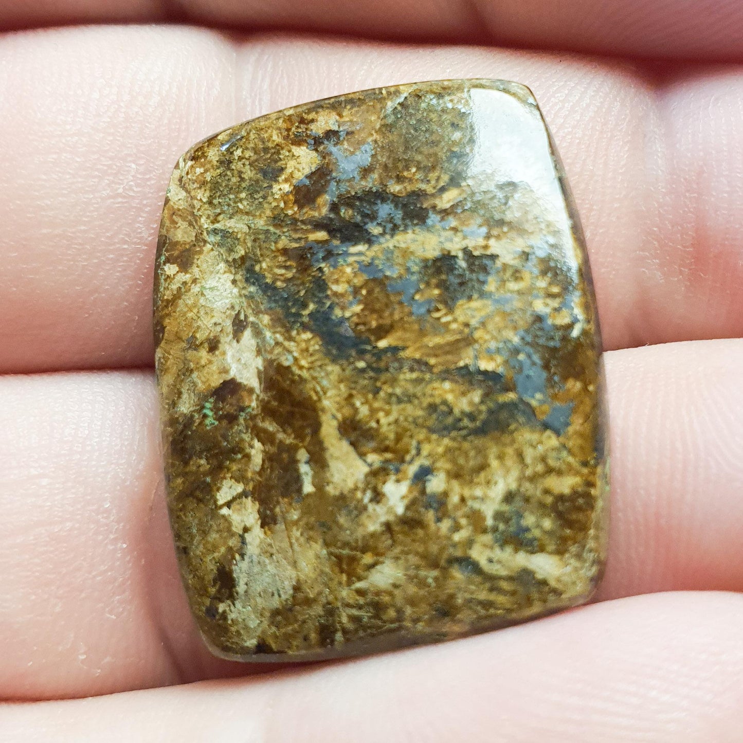 Cabochon bronzite