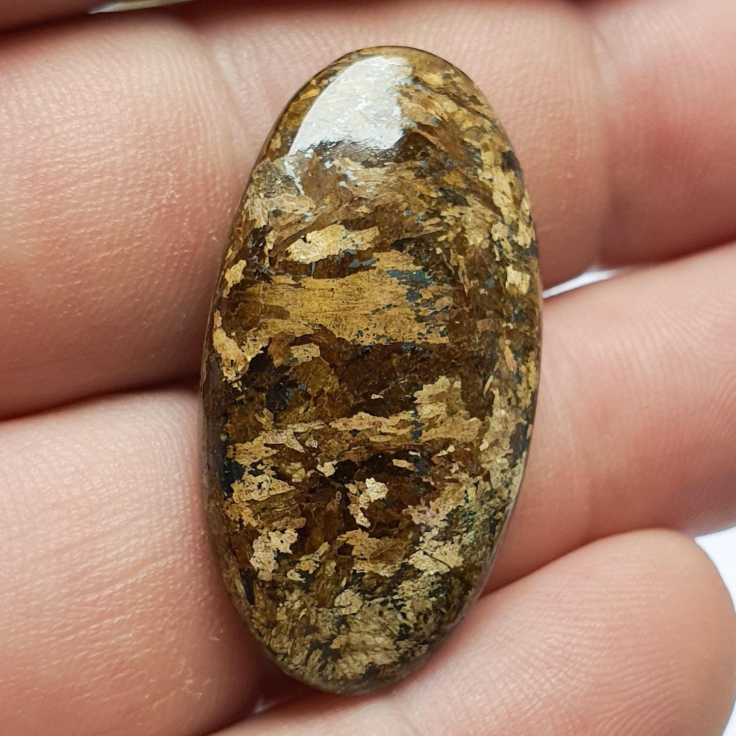 Cabochon bronzite