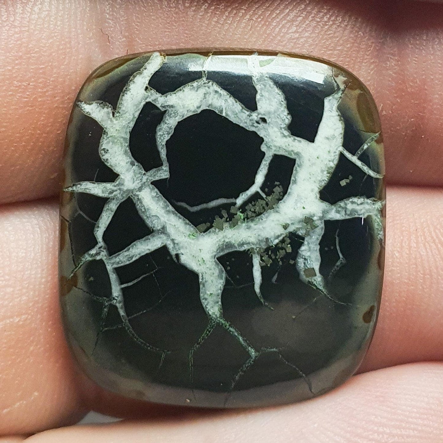 Cabochon-Septaria aus Marokko