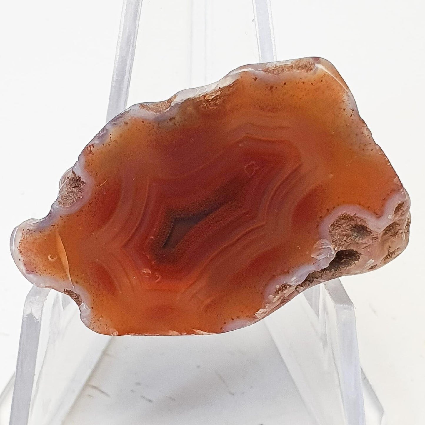 Agate du malawi ( demi-nodule)