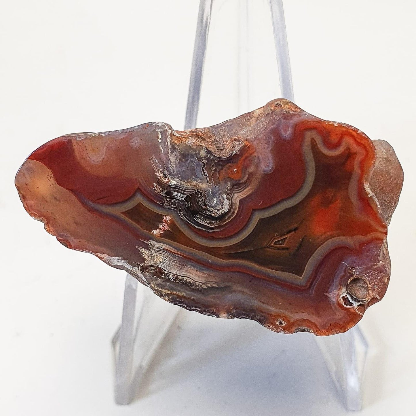 Agate du malawi ( demi-nodule)