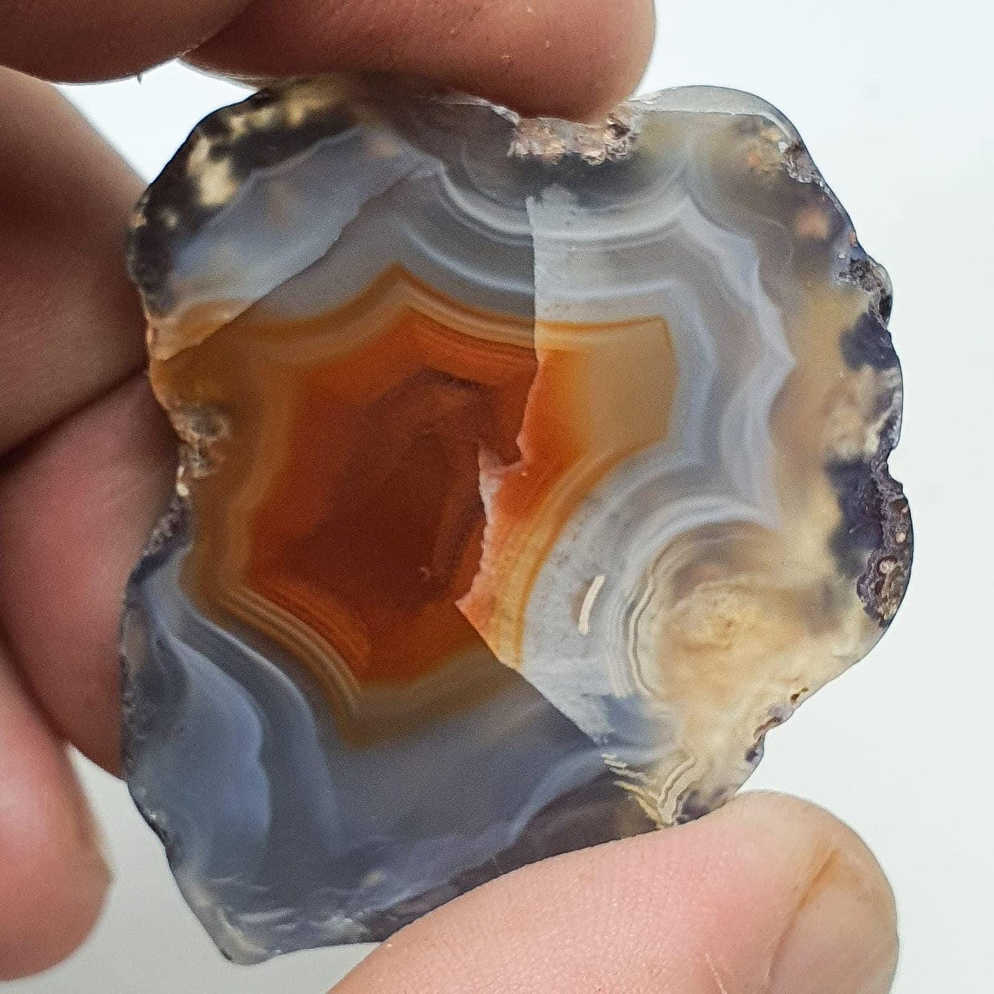 Agate du malawi ( demi-nodule)