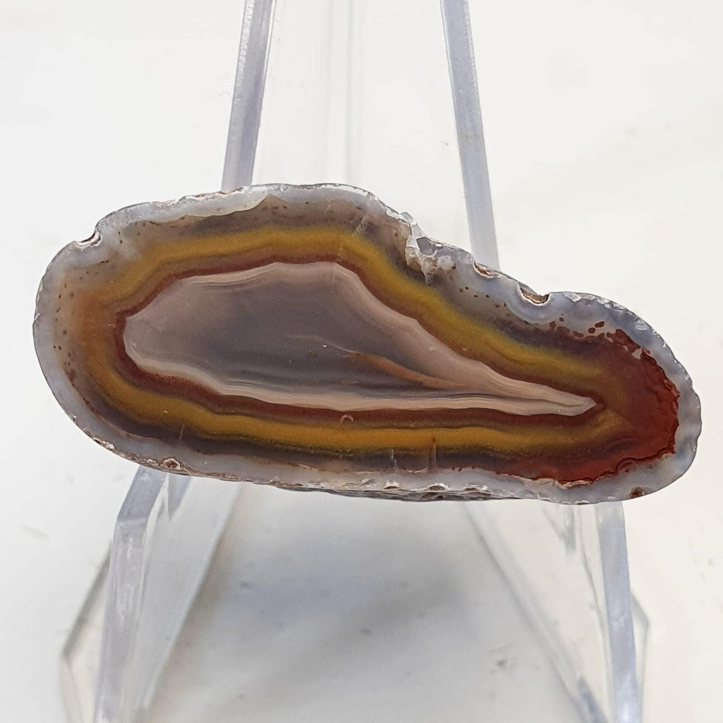 Agate creek  ( demi-nodule)