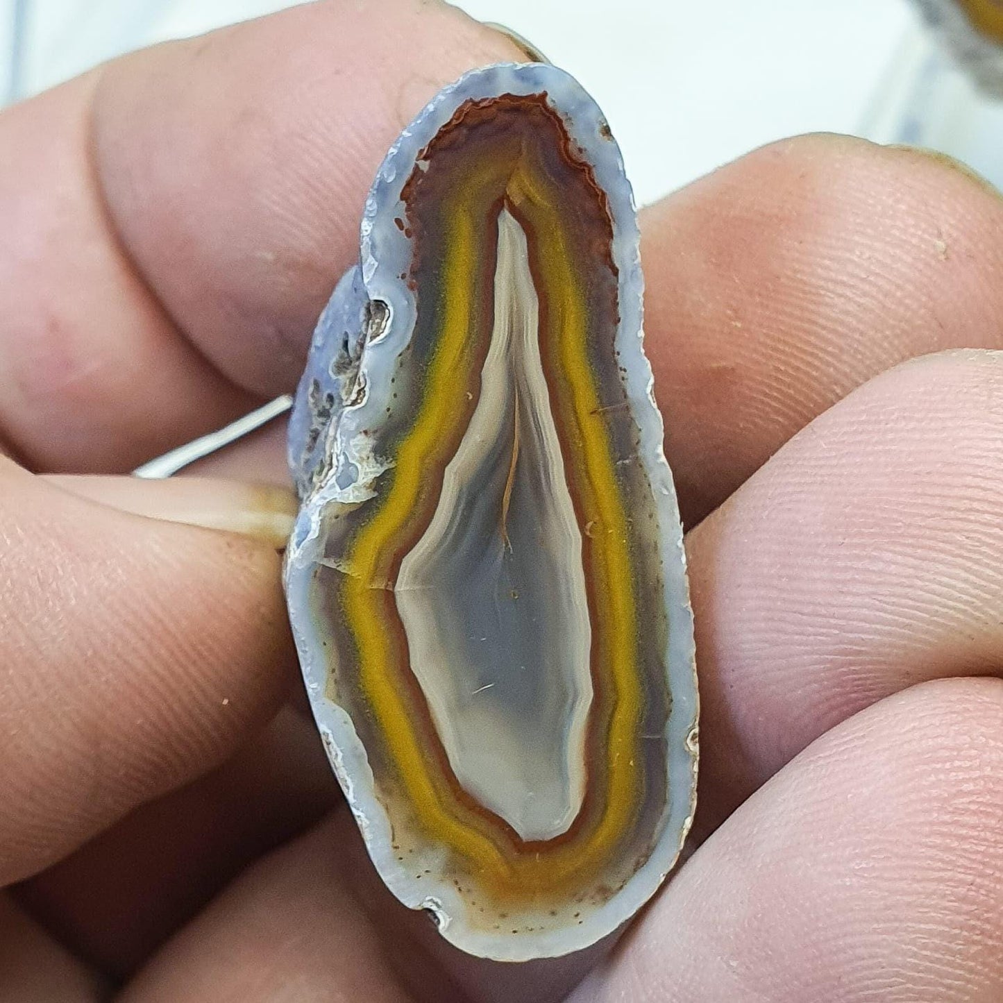 Agate creek  ( demi-nodule)