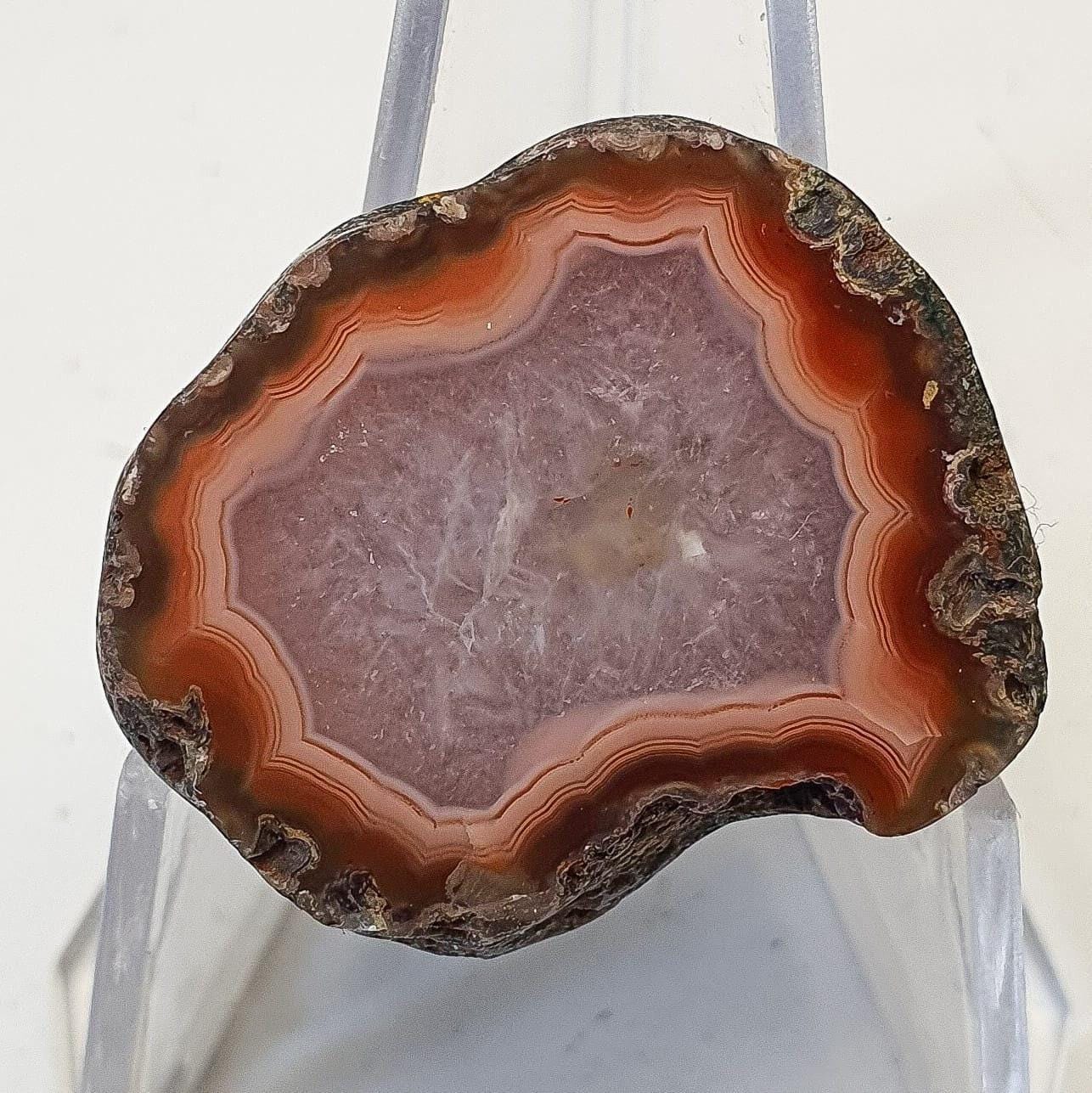 Agate du malawi ( demi-nodule)