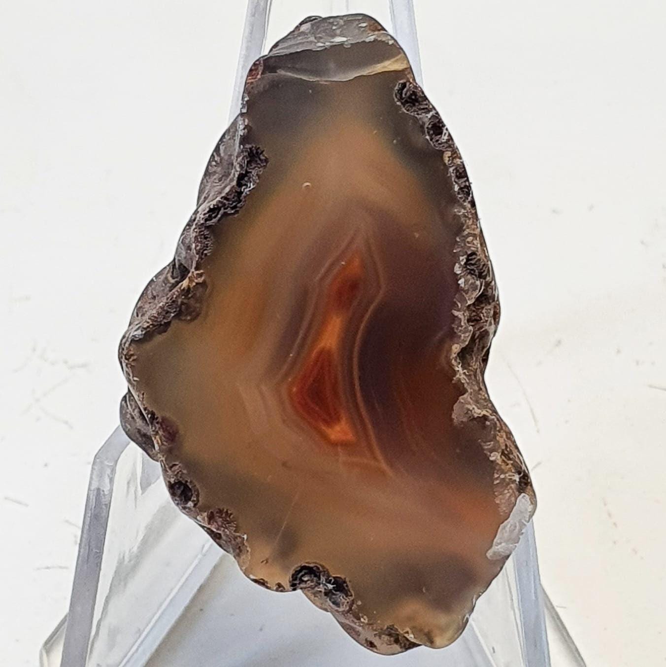 Agate creek  ( demi-nodule)