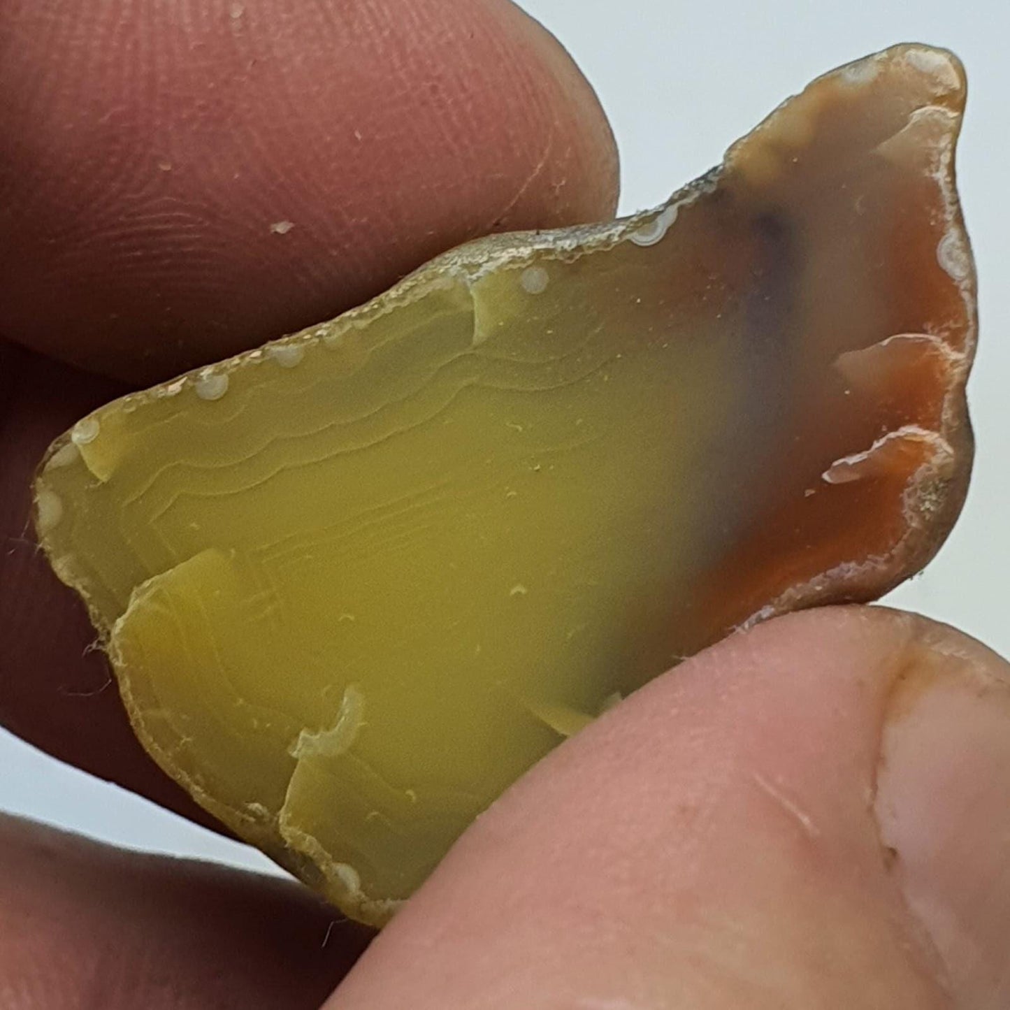 Agate creek  ( demi-nodule)