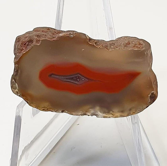 Agate du malawi ( demi-nodule)