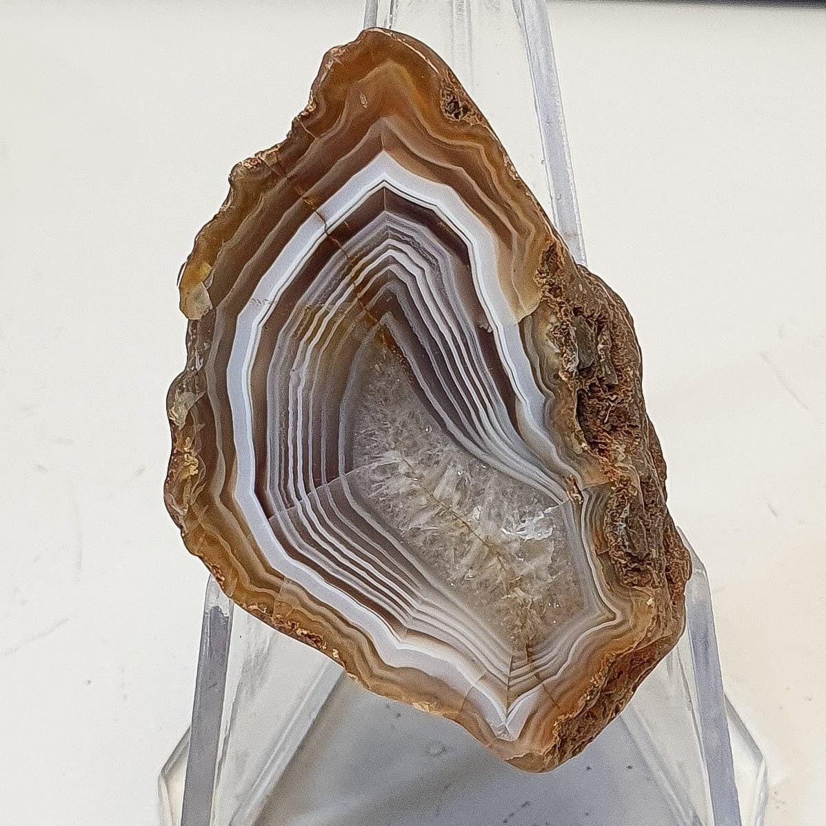 Malawi agate (half-nodule)