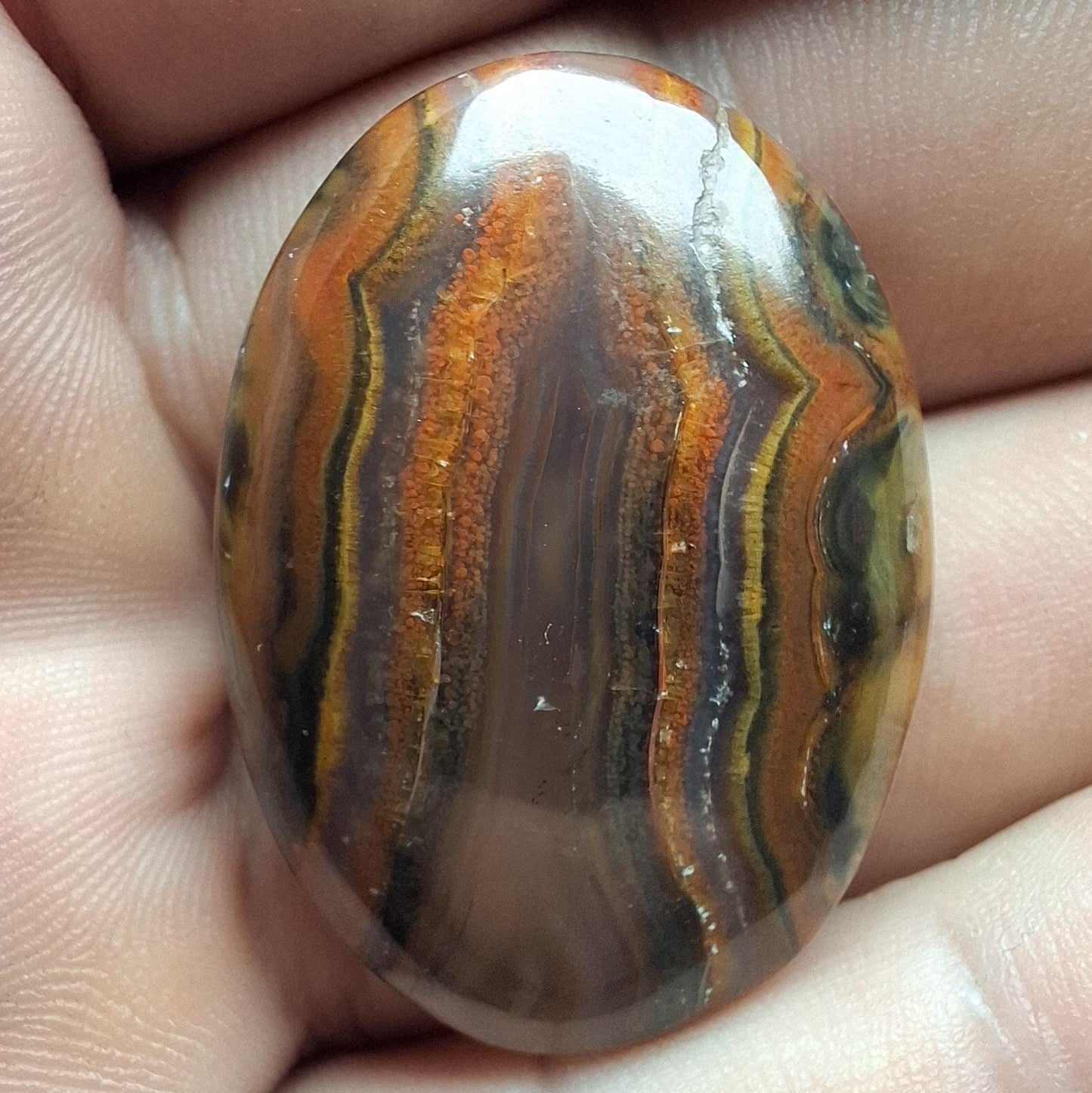 Cabochon agate condor