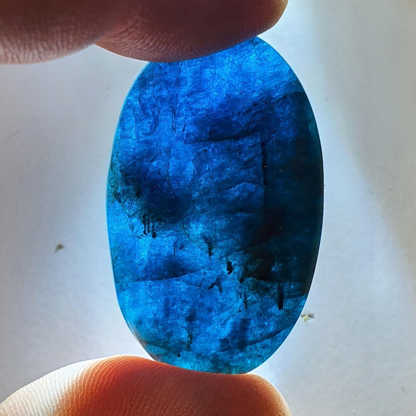 Cabochon apatite