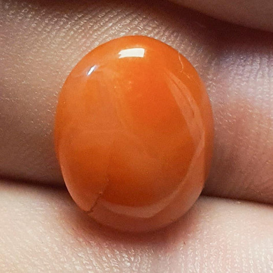 Cabochon cornaline