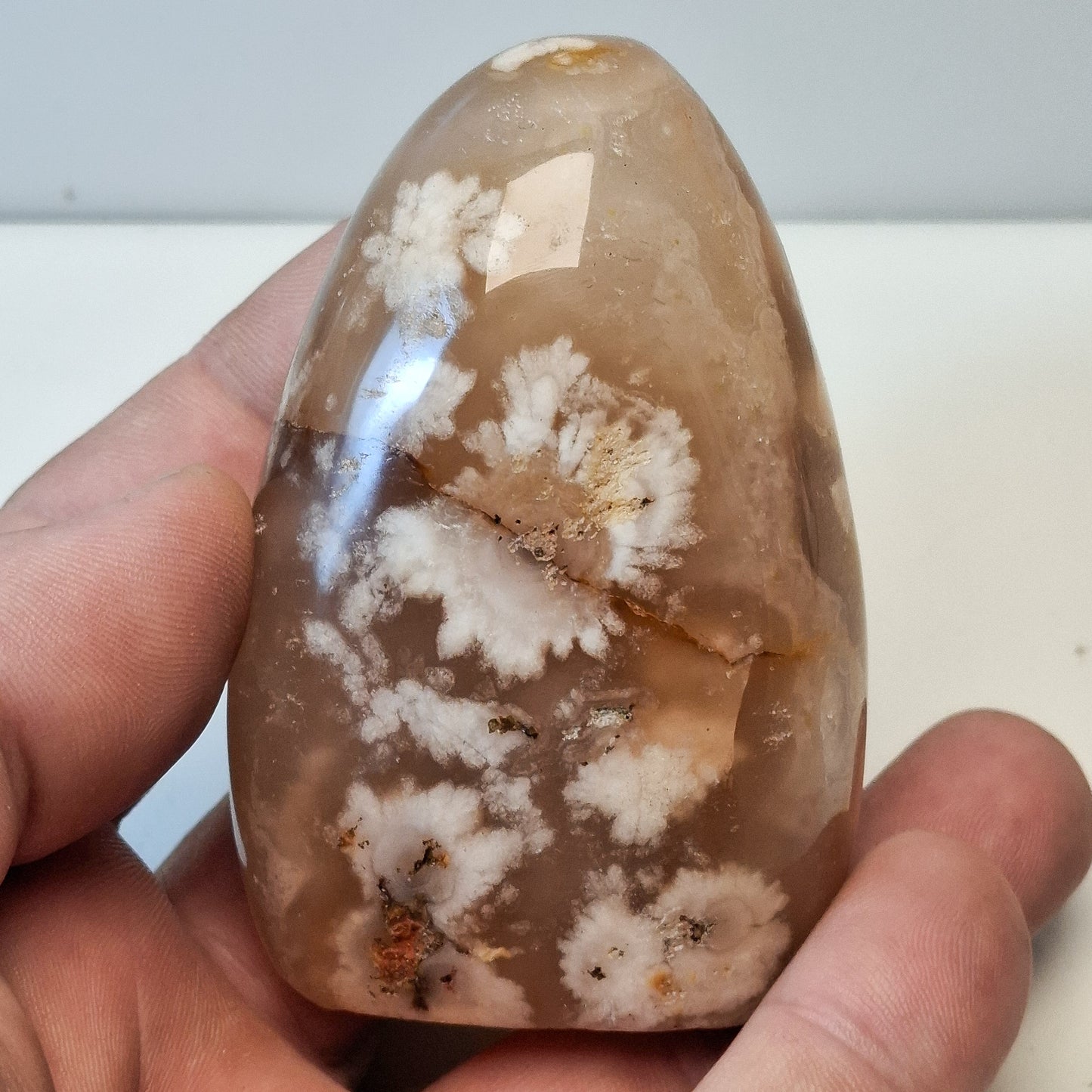 Agate Fleur forme libre polie