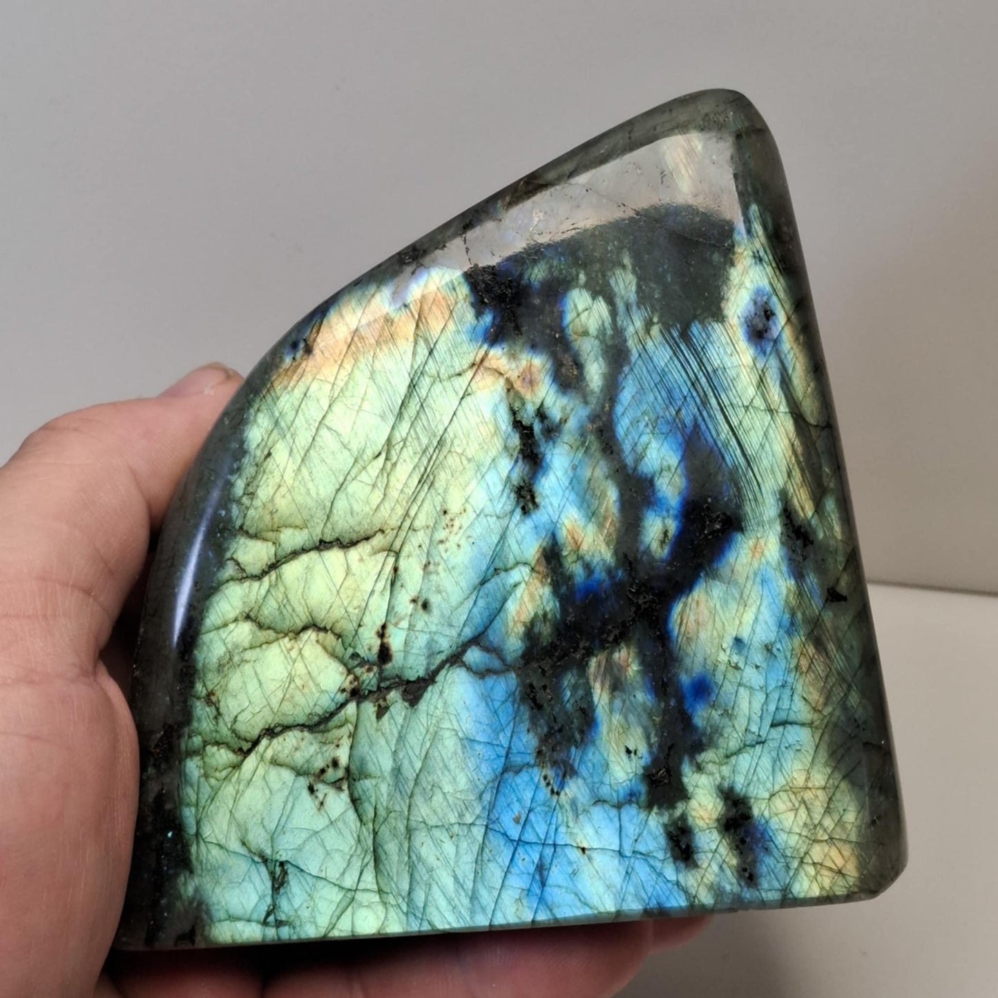 Labradorite forme libre polie