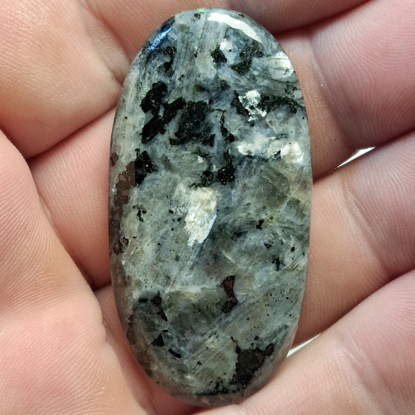 Cabochon Larvikite