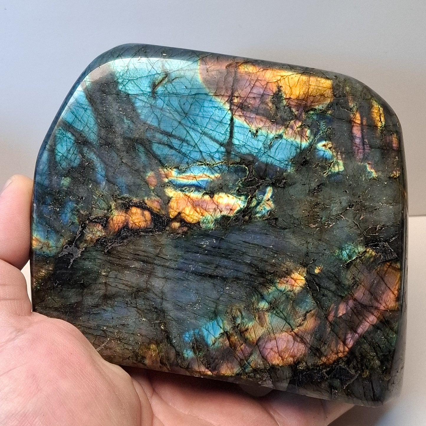 Labradorite forme libre polie