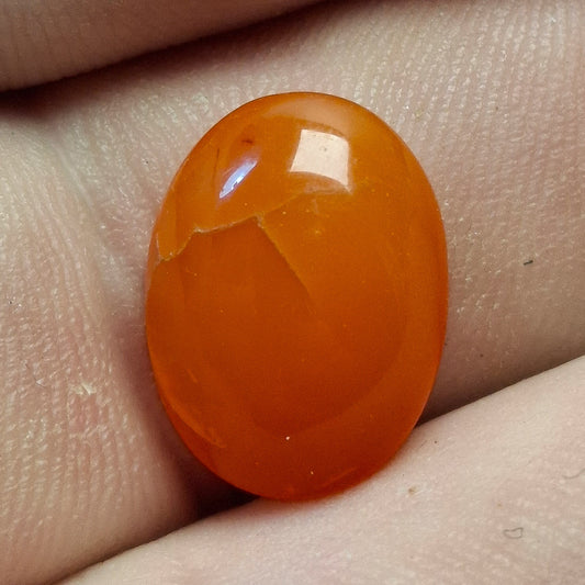 Cabochon Cornaline