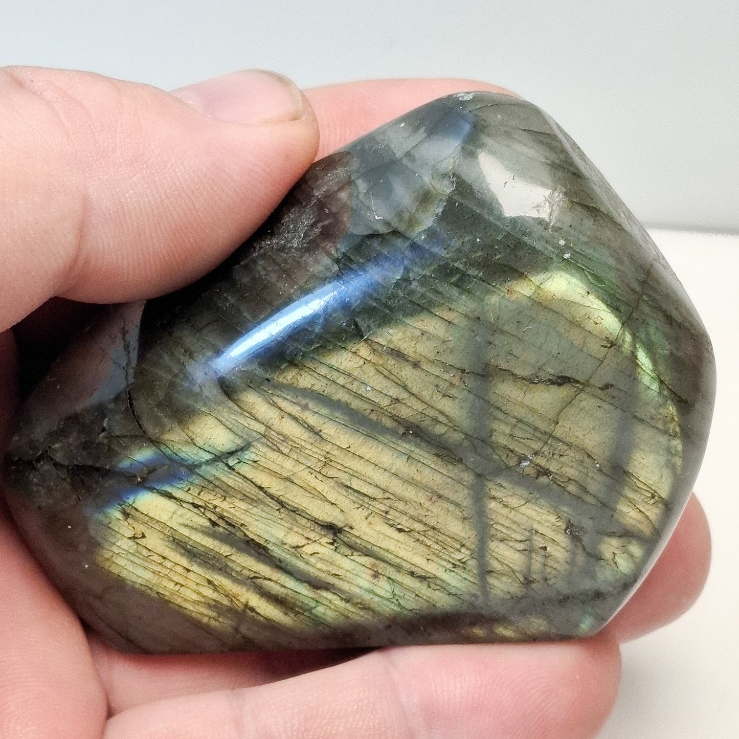 Labradorite forme libre polie