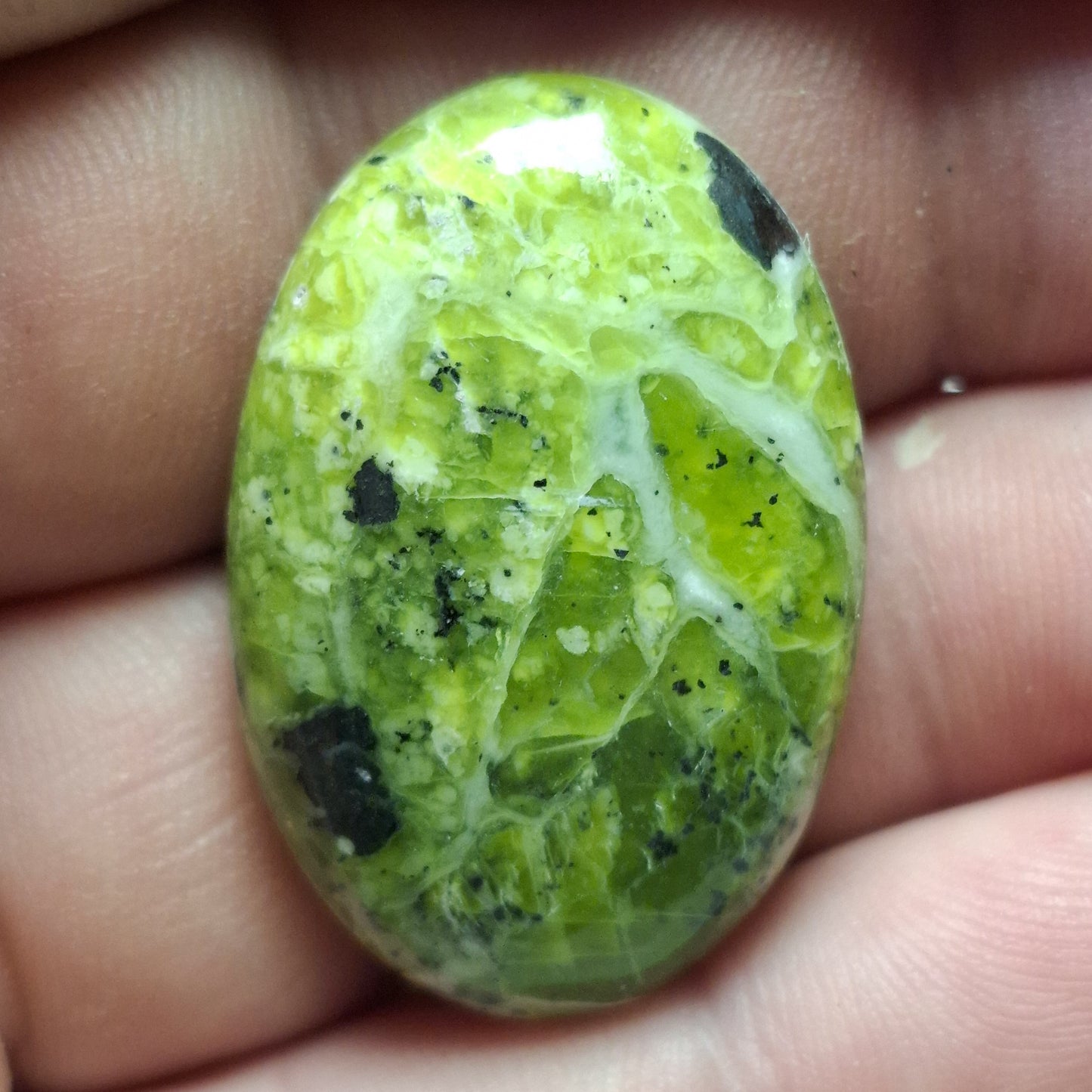 Cabochon lizardite