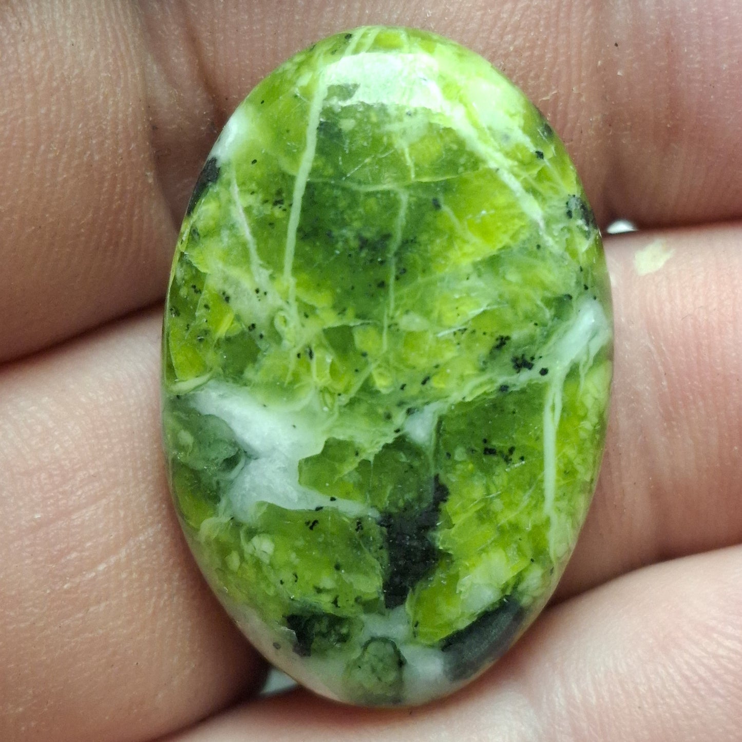 Cabochon lizardite