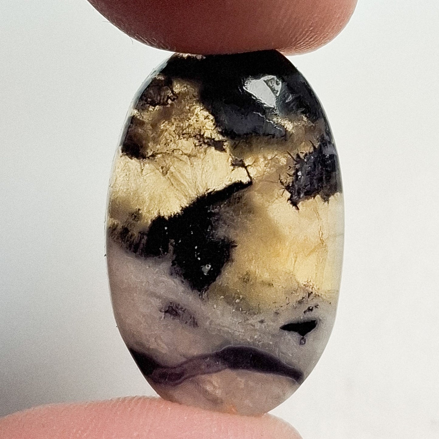 Cabochon Fluorite Opalisée