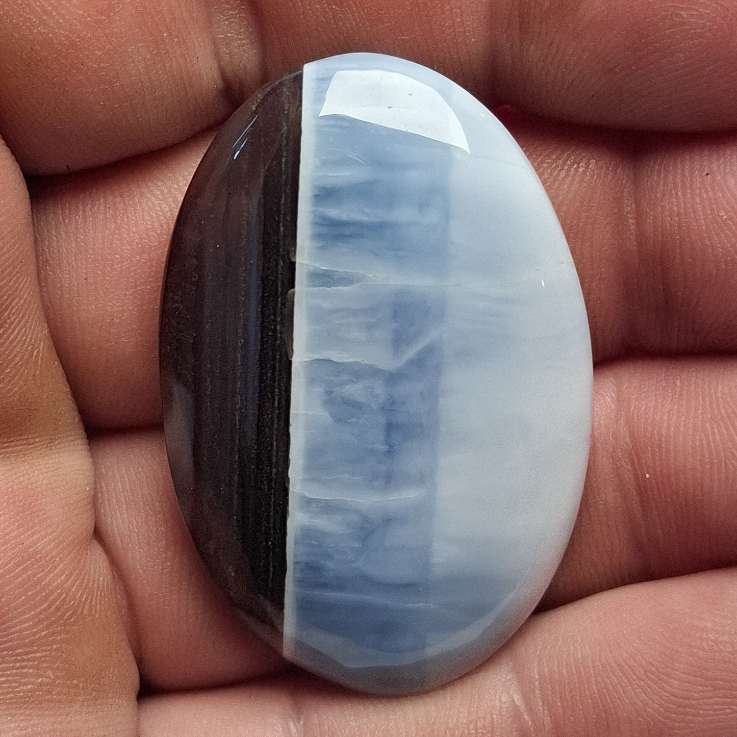 Cabochon Opale Owyhee