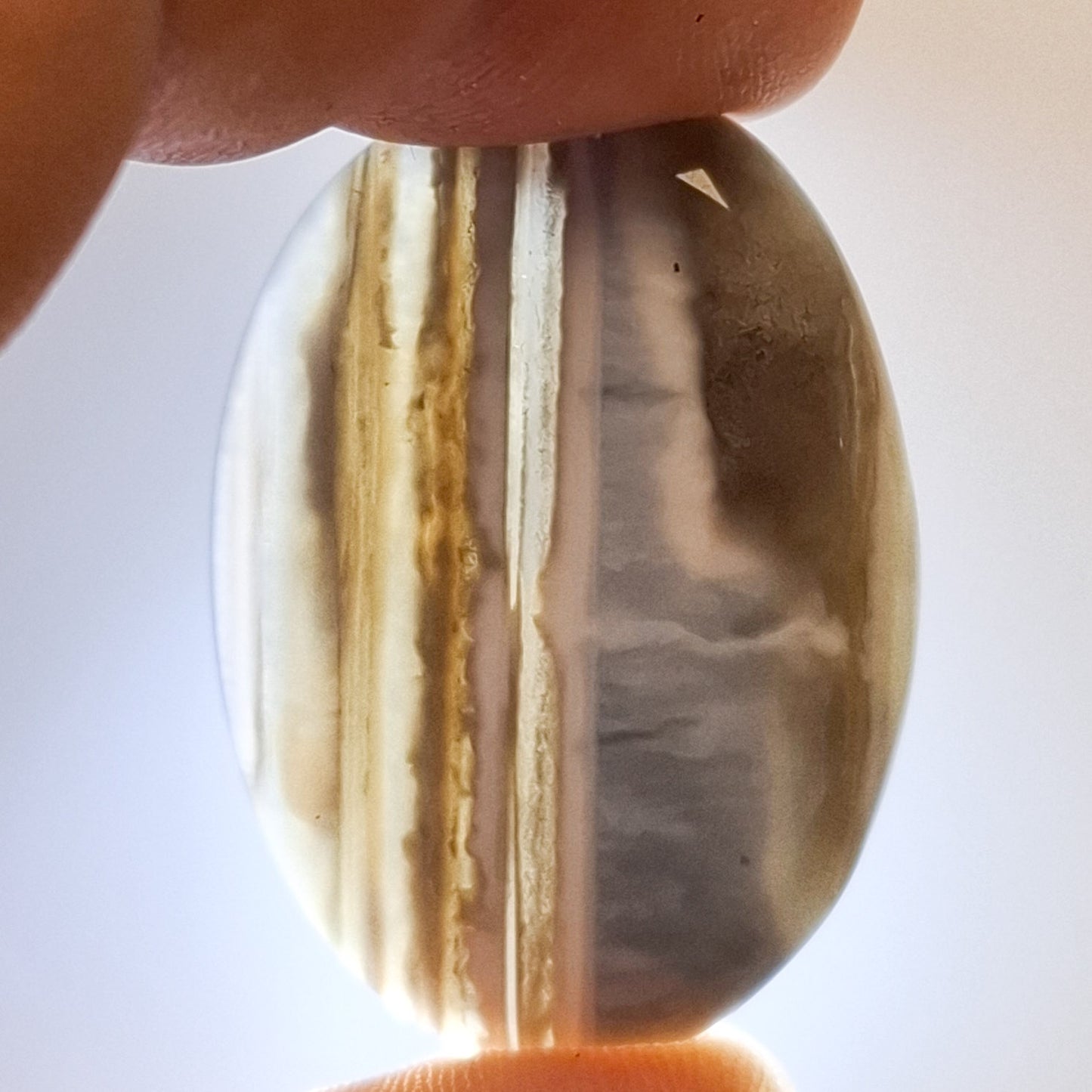 Cabochon Opale Owyhee