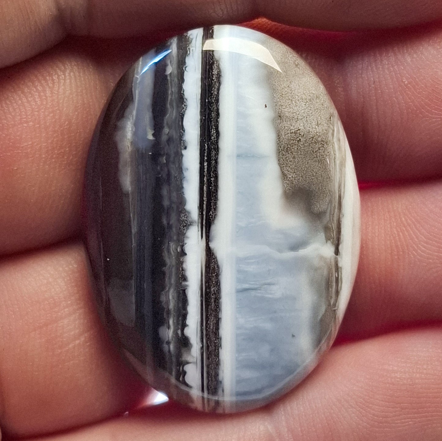 Cabochon Opale Owyhee