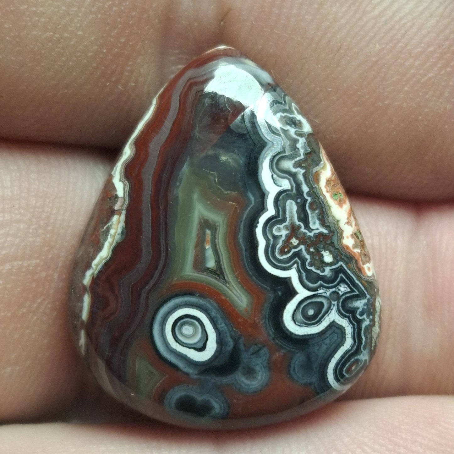 Cabochon Agate Crazy Lace