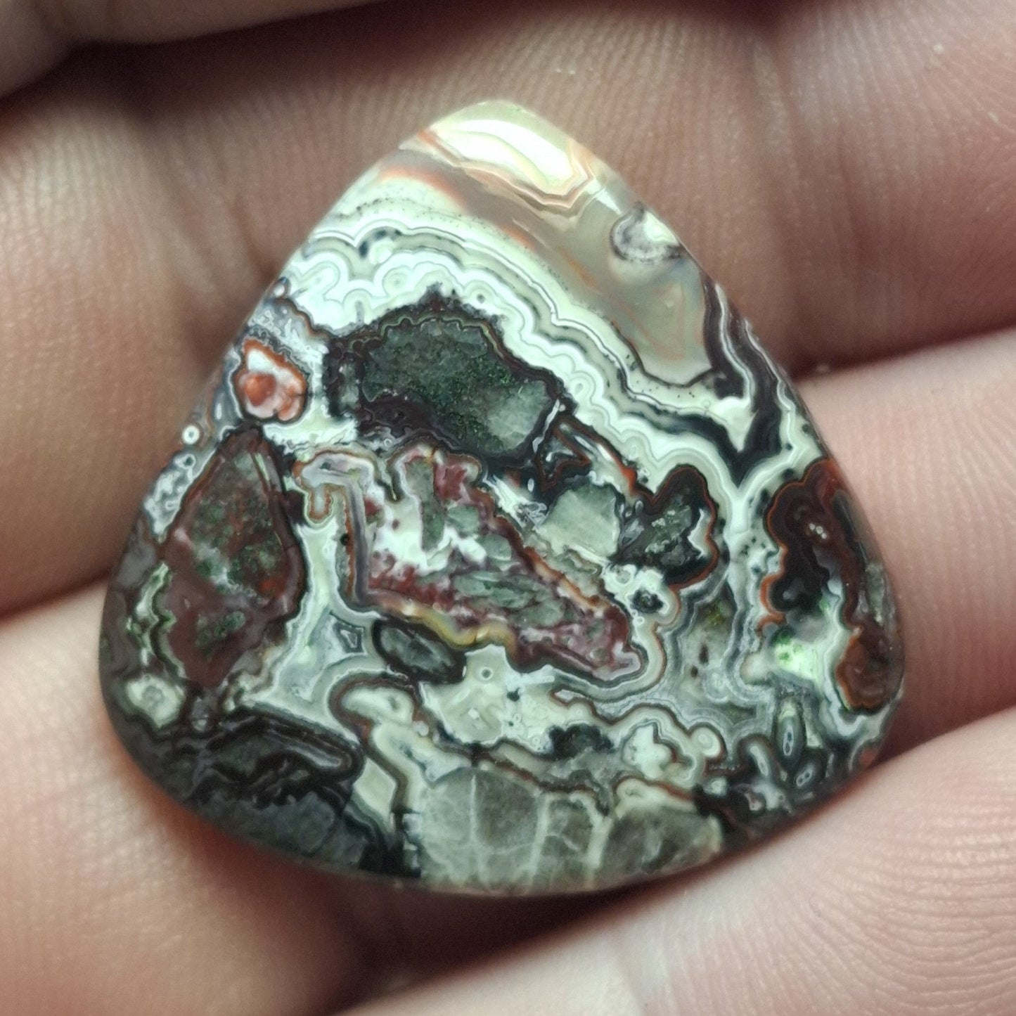 Cabochon Agate Crazy Lace