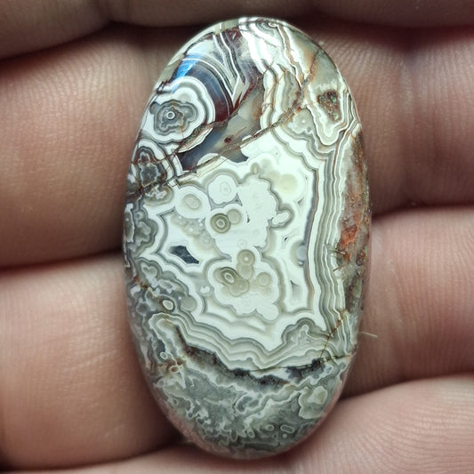 Cabochon Agate Crazy Lace